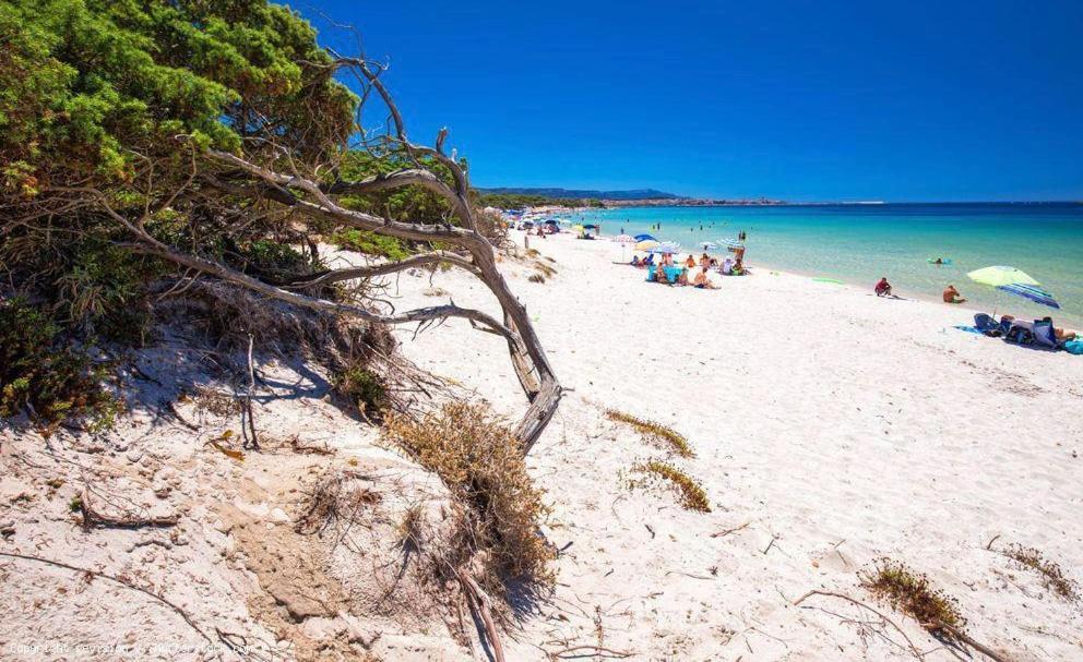 Appartamento A Pochi Passi Dalla Spiaggia アルゲーロ エクステリア 写真